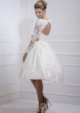 Short straight dress with lace sleeves