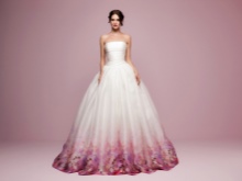 Color fashionable magnificent wedding dress