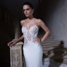 frank wedding dress with a transparent corset