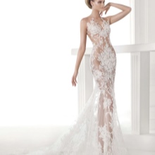 Translucent wedding dress by Pronovias