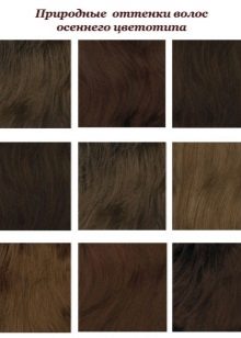 Shades of hair Autumn color type