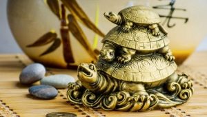 The value of the turtle: where to put what symbolizes in the jewelry and talismans?