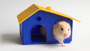 Hamster cabins: features, varieties, selection and installation