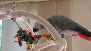 Toys for parrots do it yourself