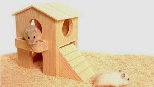 How and from what to make a house for a hamster with your own hands?