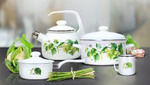 Enamelware: a legjobb gyártók, kiválasztási kritériumok