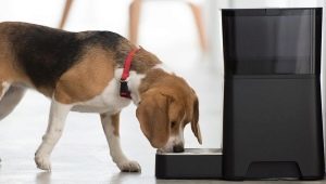 Automatic feeders for dogs: types and principle of operation