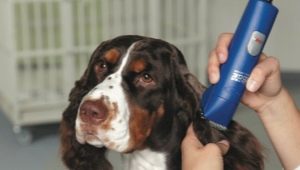 Dog grooming machines: varieties, selection and application