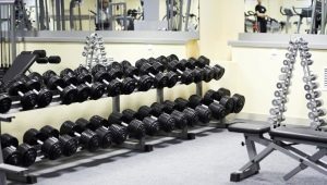 Dumbbell Racks: Variations and Selection Guidelines