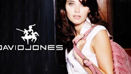 David Jones Bags