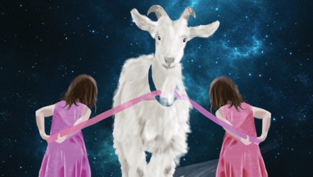 Twins born in the year of the Goat: characterization and compatibility