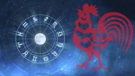 Male Sagittarius born in the Year of the Rooster: characterization and compatibility