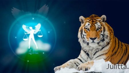 Male Libra-Tiger: characteristic and compatibility