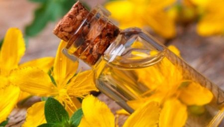 Celandine oil: properties, preparation and use