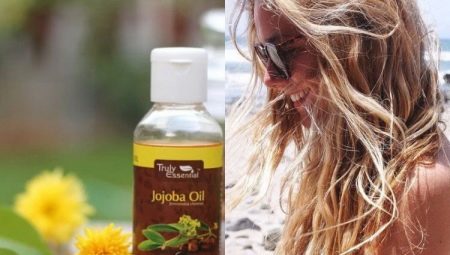 Jojoba oil for hair: properties and subtleties of use