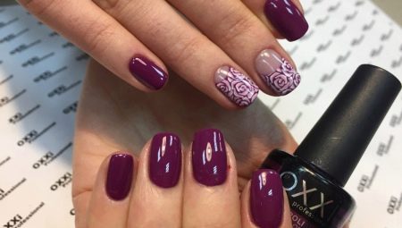 Features of Oxxi Professional gel polish and its subtleties