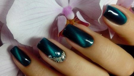 Features of creation and design ideas manicure cat's eye