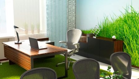 What should be the workplace for Feng Shui?