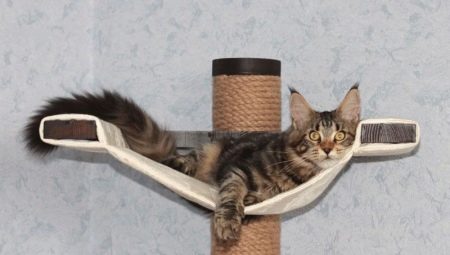 Home and other equipment for Maine Coon