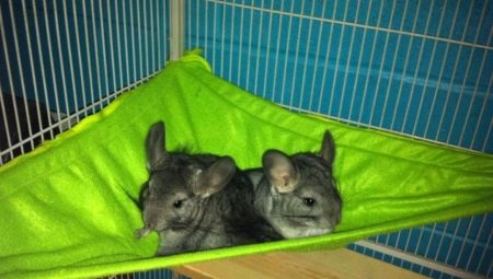 Hammock for chinchilla: how to choose and do it yourself?