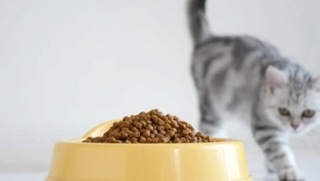 Comparing Dry Cat Foods