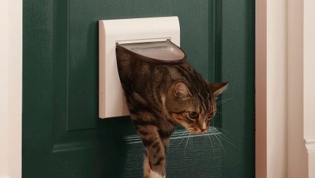 Choosing a door to the toilet for the cat