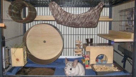 How to make a cage for chinchilla do it yourself?