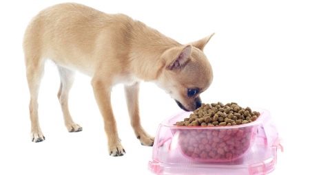 Chihuahua Food: Gyártó minősítési és választási jellemzői