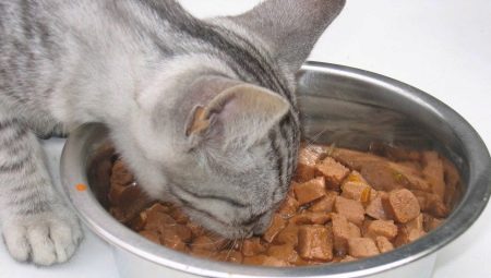 Food in bags for cats: what they do and how much to give per day?