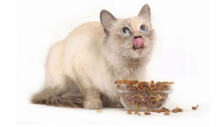 Holistic feed for sterilized cats