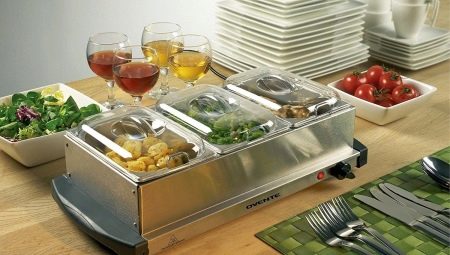 Food warmer: types, choices and uses