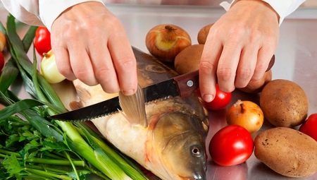 Knives for cleaning fish: types, review of manufacturers, selection and use