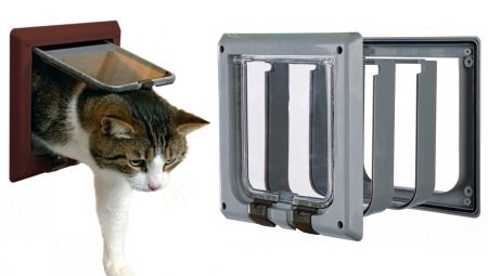 Types and selection of doors for cats