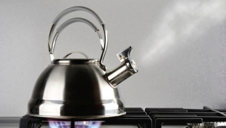 Kettles made of stainless steel for gas stoves: the rating of the best models and choice