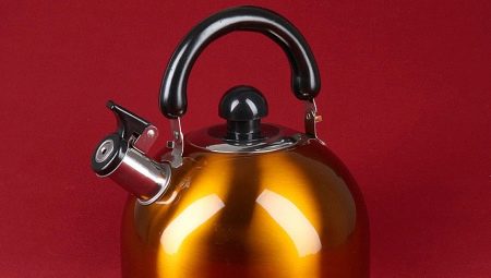 Whistling kettles: types, manufacturers review and features of choice