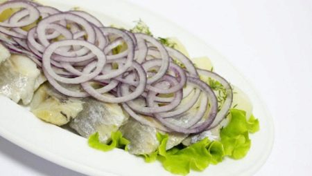 Herring shoots: types and recommendations for selection