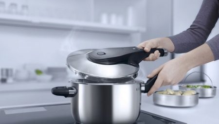 Pressure cookers from stainless steel of Russian production