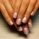 Features of French manicure gel varnish on short nails