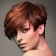 Short haircuts with bangs: fashion trends and tips on styling