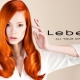 Lebel hair dye: types and palette