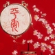 Feng Shui Talismans and Charms: Appointment, Tips for Choosing