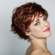 Female haircut American short hair