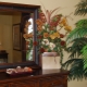 How to arrange a mirror for Feng Shui?