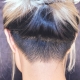 Female haircuts with shaved nape: what are and how to choose?