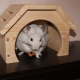 House for chinchilla: types and methods of manufacturing