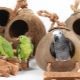 House and nest for parrots: features of choice, requirements, rules of manufacture