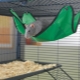 Hammock for the rat: how to choose, do it yourself and equip?