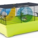 Cages for Jungar hamsters: what are and how to clean them?