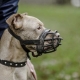 Muzzles for dogs: types and choices by size