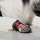 Shoes for dogs: types and recommendations for selection